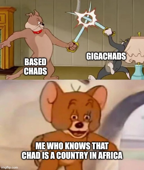 I AM ABOVE THE LAW | GIGACHADS; BASED CHADS; ME WHO KNOWS THAT CHAD IS A COUNTRY IN AFRICA | image tagged in tom and spike fighting,chad,africa,i am above the law | made w/ Imgflip meme maker