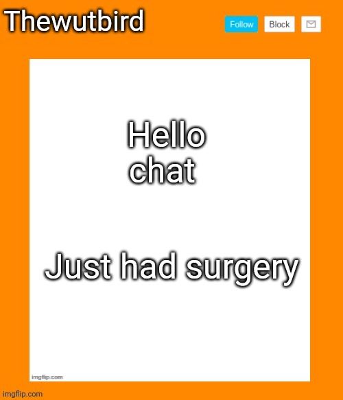Wutbird announcement temp | Hello chat; Just had surgery | image tagged in wutbird announcement temp,surgery | made w/ Imgflip meme maker