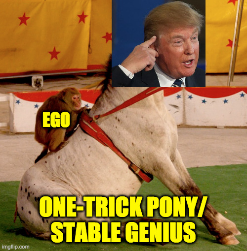 EGO ONE-TRICK PONY/
STABLE GENIUS | made w/ Imgflip meme maker