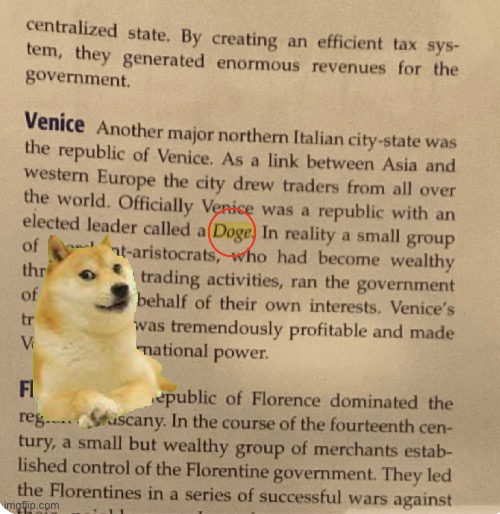 Doge irl | image tagged in doge,real life,funny,meme | made w/ Imgflip meme maker