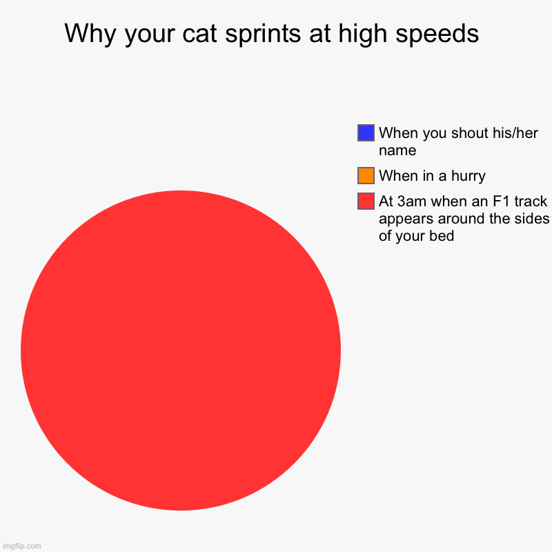 Why your cat sprints at high speeds | At 3am when an F1 track appears around the sides of your bed, When in a hurry, When you shout his/her  | image tagged in charts,pie charts | made w/ Imgflip chart maker