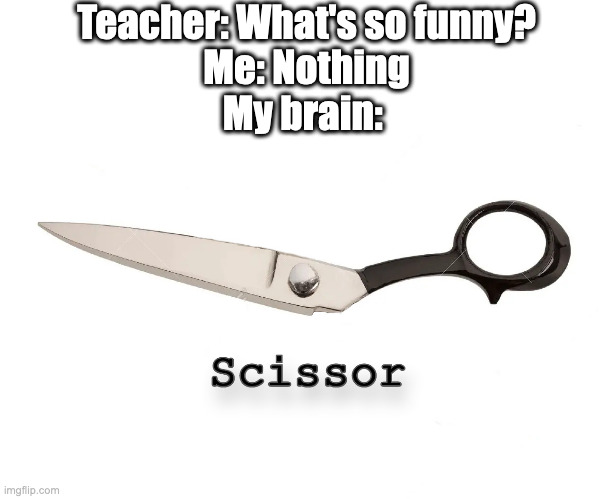 This is not a pair of scissors | Teacher: What's so funny?
Me: Nothing
My brain: | image tagged in blursed,shitpost | made w/ Imgflip meme maker