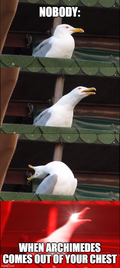 Inhaling Seagull | NOBODY:; WHEN ARCHIMEDES COMES OUT OF YOUR CHEST | image tagged in memes,inhaling seagull | made w/ Imgflip meme maker