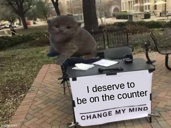 Change My Mind Meme | I deserve to be on the counter | image tagged in memes,change my mind | made w/ Imgflip meme maker