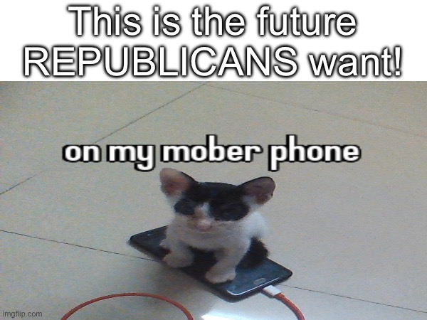 dont take this seriously lol | This is the future REPUBLICANS want! | image tagged in phone | made w/ Imgflip meme maker