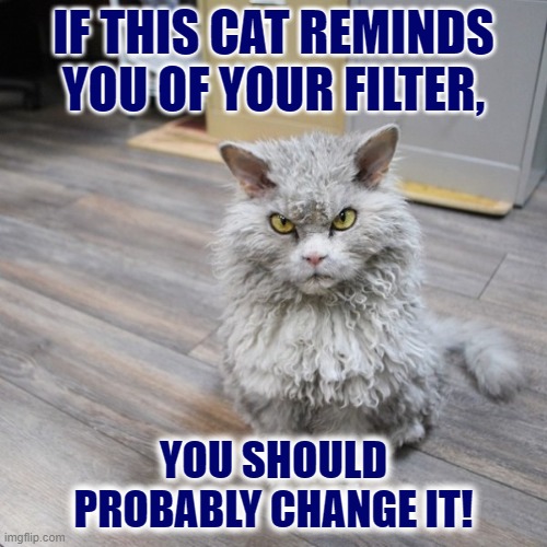 Hairy Filter | IF THIS CAT REMINDS YOU OF YOUR FILTER, YOU SHOULD PROBABLY CHANGE IT! | image tagged in bad joke cat,filter,grumpy cat,memes,funny cat memes | made w/ Imgflip meme maker