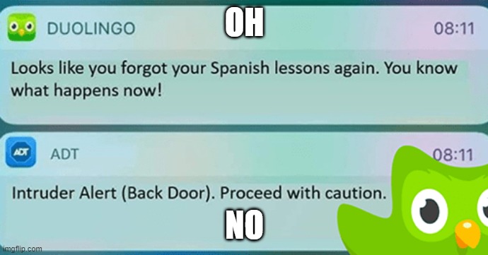 Duolingo is a angery bird | OH; NO | image tagged in duolingo is a angery bird | made w/ Imgflip meme maker