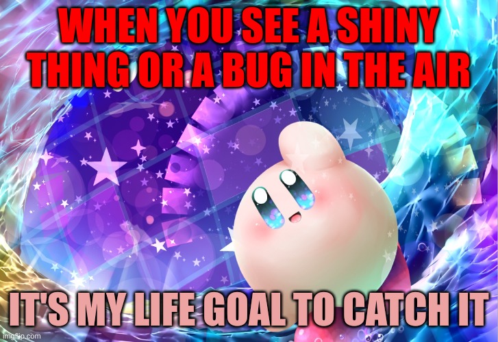 In the sky | WHEN YOU SEE A SHINY THING OR A BUG IN THE AIR; IT'S MY LIFE GOAL TO CATCH IT | image tagged in kirby,funny,cute | made w/ Imgflip meme maker