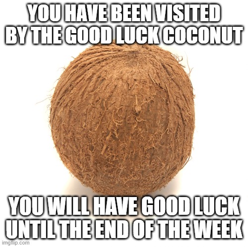 good luck coconut | YOU HAVE BEEN VISITED BY THE GOOD LUCK COCONUT YOU WILL HAVE GOOD LUCK UNTIL THE END OF THE WEEK | image tagged in good luck coconut | made w/ Imgflip meme maker