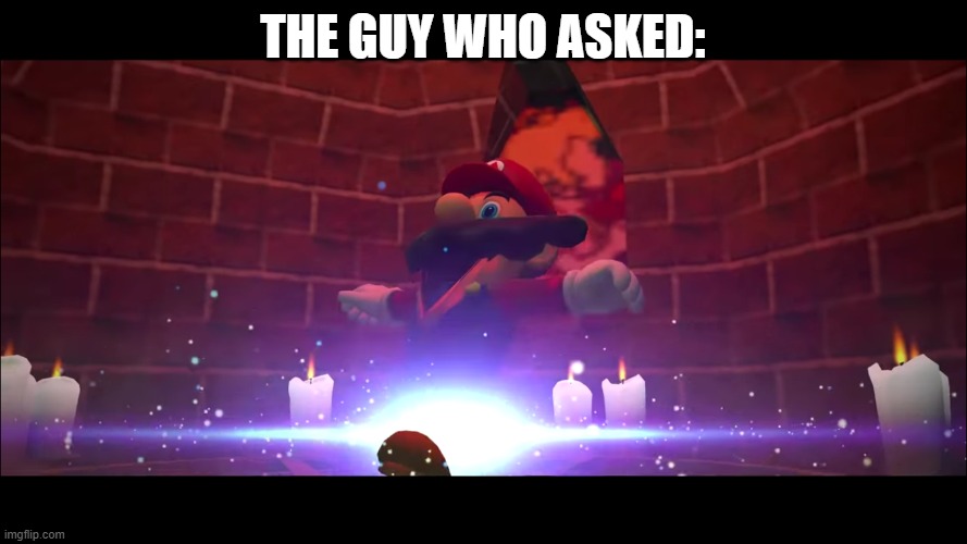 Mario Gets Summoned | THE GUY WHO ASKED: | image tagged in mario gets summoned | made w/ Imgflip meme maker