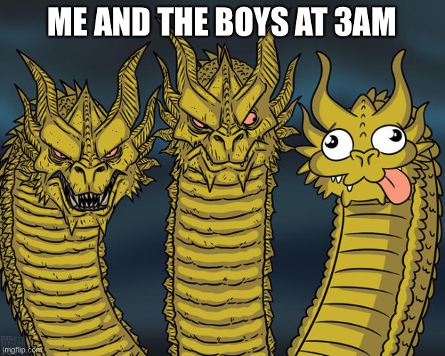 Three-headed Dragon | ME AND THE BOYS AT 3AM | image tagged in three-headed dragon | made w/ Imgflip meme maker