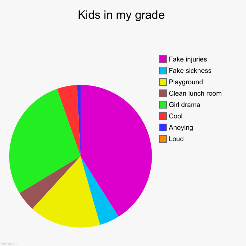 My grade | Kids in my grade | Loud, Anoying, Cool, Girl drama, Clean lunch room, Playground, Fake sickness , Fake injuries | image tagged in charts,pie charts | made w/ Imgflip chart maker