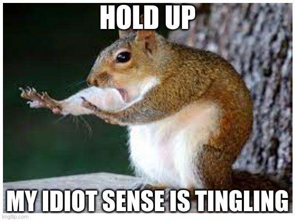 My idiot sense | HOLD UP; MY IDIOT SENSE IS TINGLING | image tagged in squirrel | made w/ Imgflip meme maker
