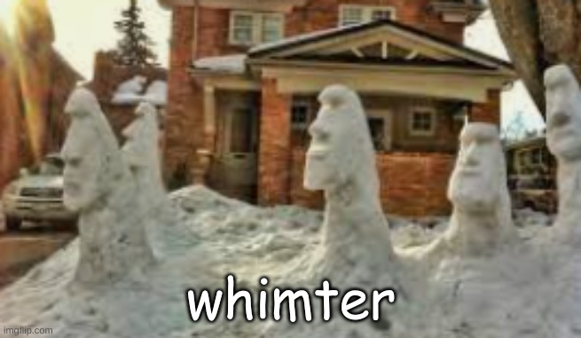 whimter | made w/ Imgflip meme maker