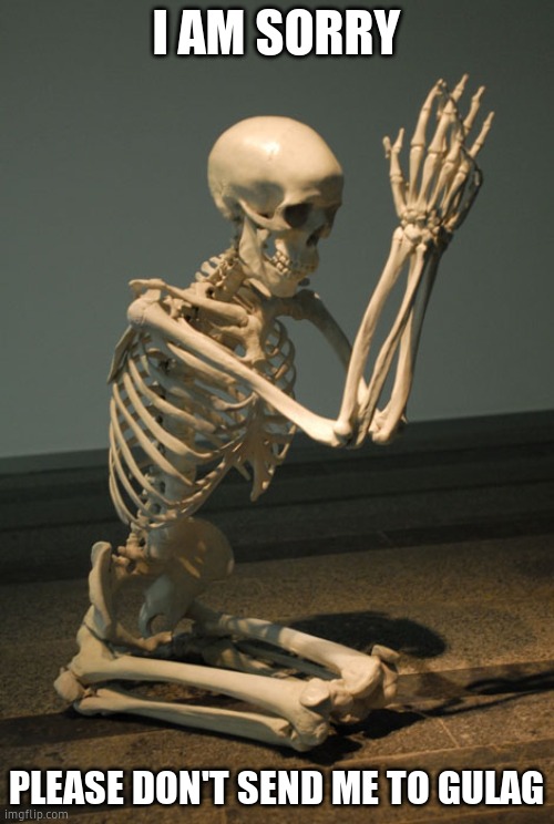Praying Skeleton | I AM SORRY PLEASE DON'T SEND ME TO GULAG | image tagged in praying skeleton | made w/ Imgflip meme maker