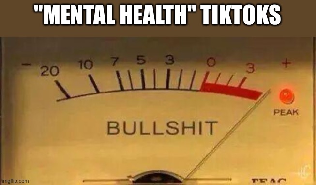 Watching mental health tiktok bullshit |  "MENTAL HEALTH" TIKTOKS | image tagged in bullshit meter,anti-tiktok,tiktok,mental health,dafuq,misinformation | made w/ Imgflip meme maker