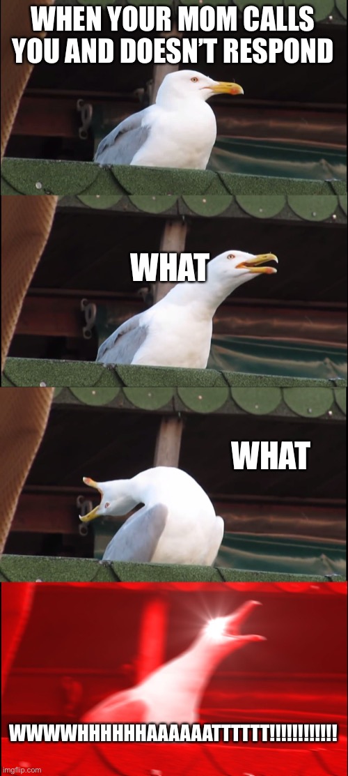 It happens all the time |  WHEN YOUR MOM CALLS YOU AND DOESN’T RESPOND; WHAT; WHAT; WWWWHHHHHHAAAAAATTTTTT!!!!!!!!!!!! | image tagged in memes,inhaling seagull | made w/ Imgflip meme maker