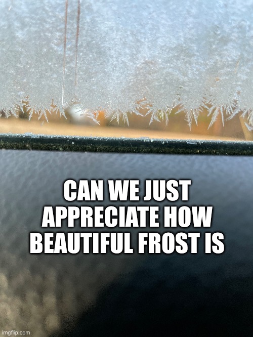 It’s incredible | CAN WE JUST APPRECIATE HOW BEAUTIFUL FROST IS | image tagged in winter,christmas,frost,snow,memes,funny | made w/ Imgflip meme maker