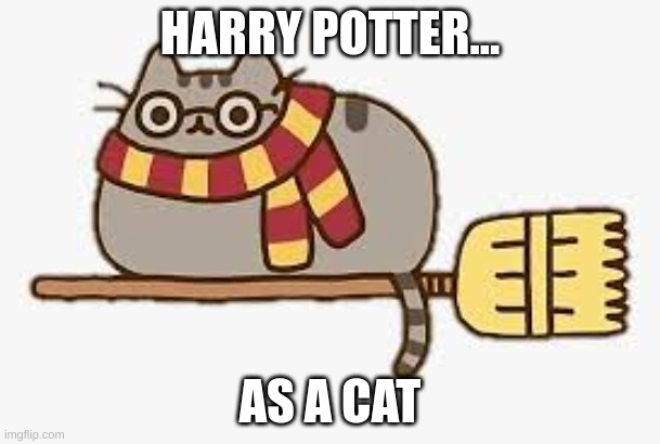 HARRY POTTER... AS A CAT | image tagged in joke | made w/ Imgflip meme maker