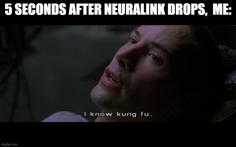 Been waiting for brain implants | 5 SECONDS AFTER NEURALINK DROPS,  ME: | image tagged in matrix,neo,funny memes,kung fu,movies,funny meme | made w/ Imgflip meme maker