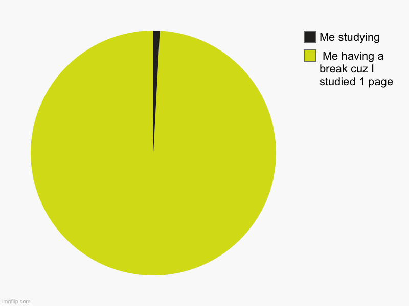 Me having a break cuz I studied 1 page, Me studying | image tagged in charts,pie charts | made w/ Imgflip chart maker