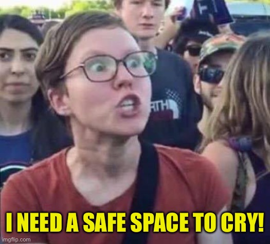 Angry Liberal | I NEED A SAFE SPACE TO CRY! | image tagged in angry liberal | made w/ Imgflip meme maker