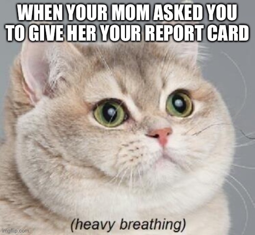 Heavy Breathing Cat Meme | WHEN YOUR MOM ASKED YOU TO GIVE HER YOUR REPORT CARD | image tagged in memes,heavy breathing cat | made w/ Imgflip meme maker