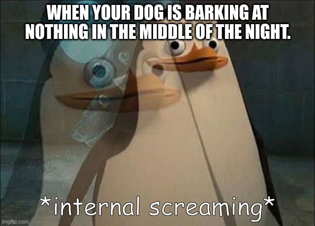 Private Internal Screaming | WHEN YOUR DOG IS BARKING AT NOTHING IN THE MIDDLE OF THE NIGHT. | image tagged in private internal screaming | made w/ Imgflip meme maker