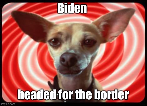 taco bell dog | Biden headed for the border | image tagged in taco bell dog | made w/ Imgflip meme maker