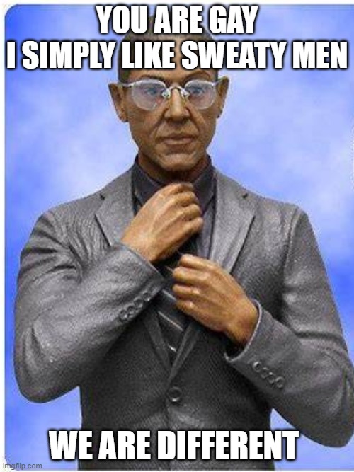 YOU ARE GAY



I SIMPLY LIKE SWEATY MEN; WE ARE DIFFERENT | image tagged in breaking bad,suit,gus fring we are not the same | made w/ Imgflip meme maker
