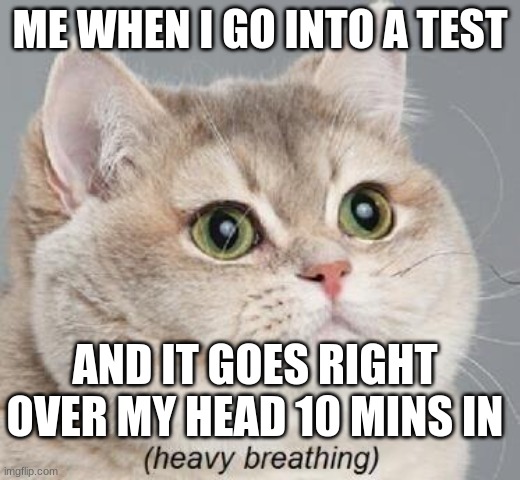 Heavy Breathing Cat | ME WHEN I GO INTO A TEST; AND IT GOES RIGHT OVER MY HEAD 10 MINS IN | image tagged in memes,heavy breathing cat | made w/ Imgflip meme maker