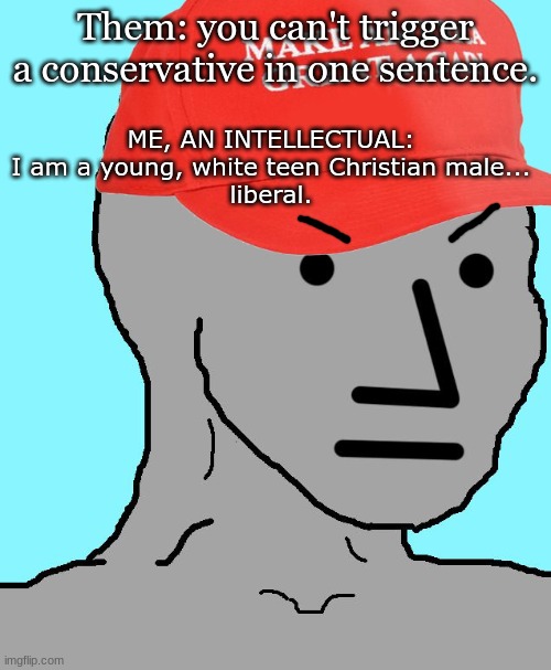 Trigger them | Them: you can't trigger a conservative in one sentence. ME, AN INTELLECTUAL:
I am a young, white teen Christian male...
liberal. | image tagged in maga npc,liberals,triggered | made w/ Imgflip meme maker
