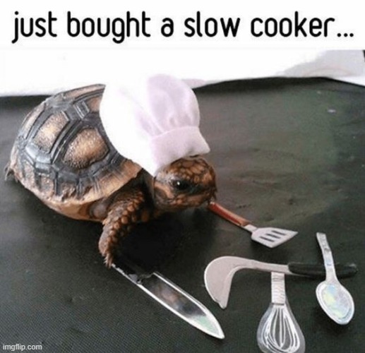image tagged in puns | made w/ Imgflip meme maker