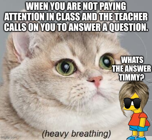 Heavy Breathing Cat | WHEN YOU ARE NOT PAYING ATTENTION IN CLASS AND THE TEACHER CALLS ON YOU TO ANSWER A QUESTION. WHATS THE ANSWER TIMMY? | image tagged in memes,heavy breathing cat | made w/ Imgflip meme maker