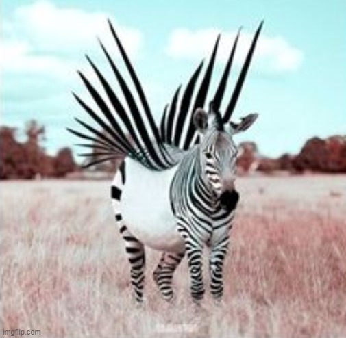 image tagged in awesome | made w/ Imgflip meme maker