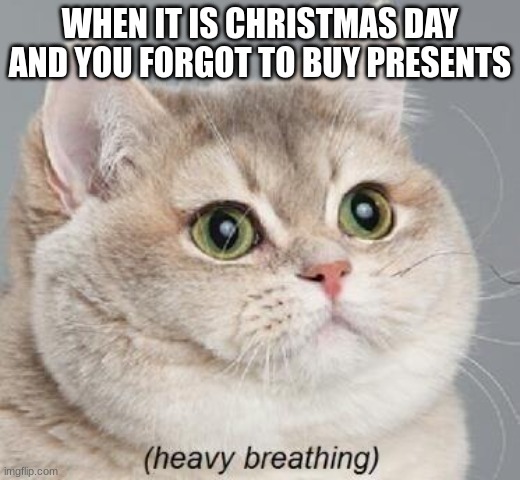 Panic Mode Active | WHEN IT IS CHRISTMAS DAY AND YOU FORGOT TO BUY PRESENTS | image tagged in memes,heavy breathing cat | made w/ Imgflip meme maker