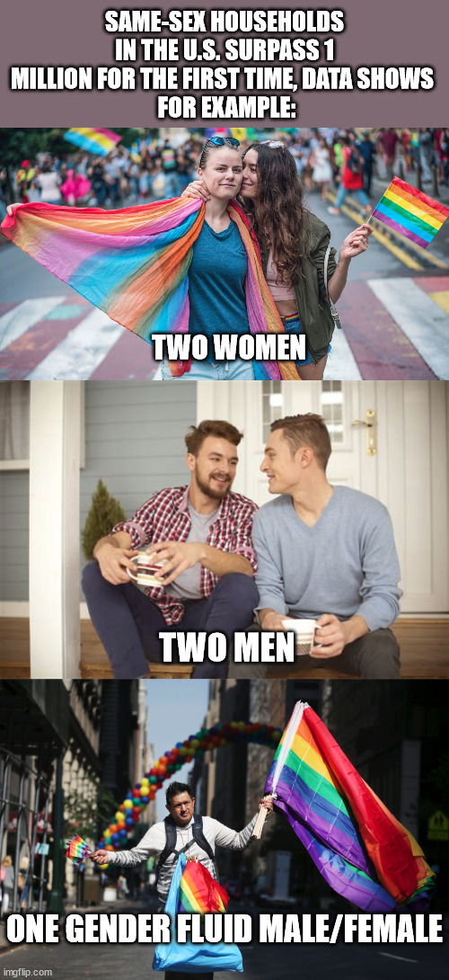 High Quality LBGTQ Same Sex Households Blank Meme Template