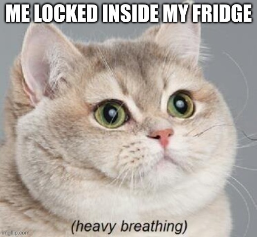 so, this one is not funny, it is informative. this holiday season, lets all get stuck in a fridge | ME LOCKED INSIDE MY FRIDGE | image tagged in memes,heavy breathing cat | made w/ Imgflip meme maker