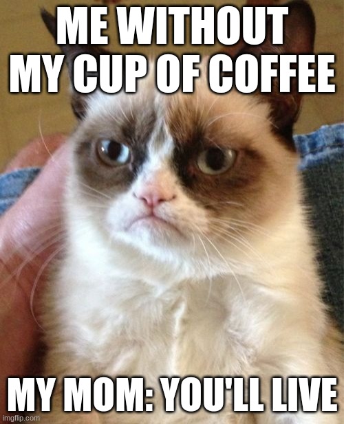 Grumpy Cat |  ME WITHOUT MY CUP OF COFFEE; MY MOM: YOU'LL LIVE | image tagged in memes,grumpy cat | made w/ Imgflip meme maker