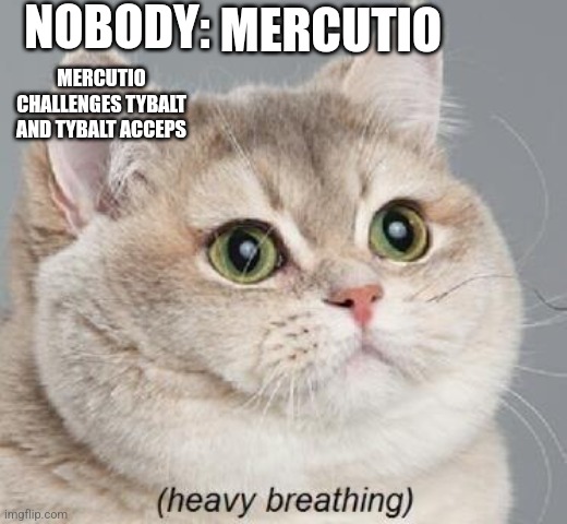 Romeo and Juliet Meme | NOBODY:; MERCUTIO; MERCUTIO CHALLENGES TYBALT AND TYBALT ACCEPS | image tagged in memes,heavy breathing cat | made w/ Imgflip meme maker
