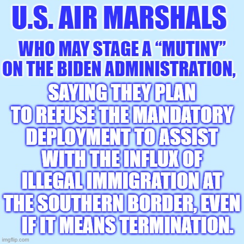 Three Cheers For | SAYING THEY PLAN TO REFUSE THE MANDATORY DEPLOYMENT TO ASSIST WITH THE INFLUX OF ILLEGAL IMMIGRATION AT THE SOUTHERN BORDER, EVEN    IF IT MEANS TERMINATION. U.S. AIR MARSHALS; WHO MAY STAGE A “MUTINY” ON THE BIDEN ADMINISTRATION, | image tagged in memes,politics,airplane,security,well now i am not doing it,joe biden | made w/ Imgflip meme maker