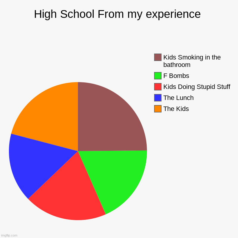 High School | High School From my experience | The Kids, The Lunch, Kids Doing Stupid Stuff , F Bombs, Kids Smoking in the bathroom | image tagged in charts,pie charts | made w/ Imgflip chart maker