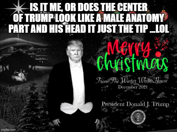How things can be perceived | IS IT ME, OR DOES THE CENTER OF TRUMP LOOK LIKE A MALE ANATOMY PART AND HIS HEAD IT JUST THE TIP ...LOL | image tagged in tacky trump holiday card,visual pun,holiday,presentation,presidents,fashion | made w/ Imgflip meme maker