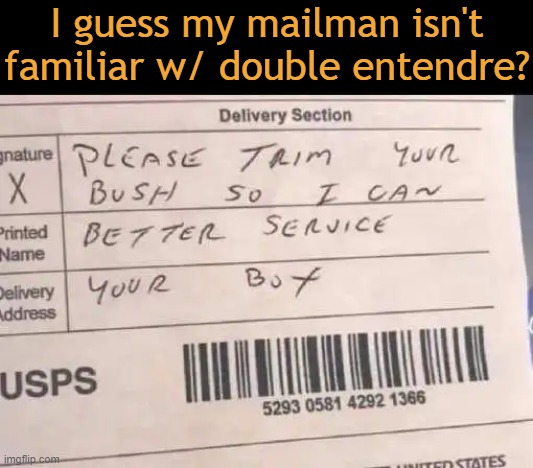 Whatever happened to rain, sleet, snow and hail...? | I guess my mailman isn't
familiar w/ double entendre? | image tagged in fun,funny,imgflip humor,mailman,mail,lol | made w/ Imgflip meme maker