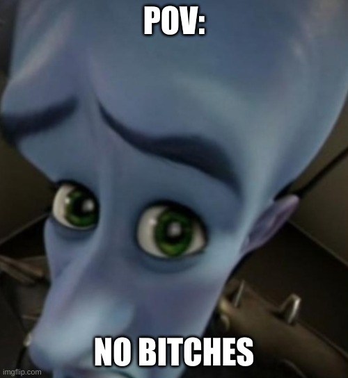 Megamind no bitches | POV:; NO BITCHES | image tagged in megamind no bitches | made w/ Imgflip meme maker