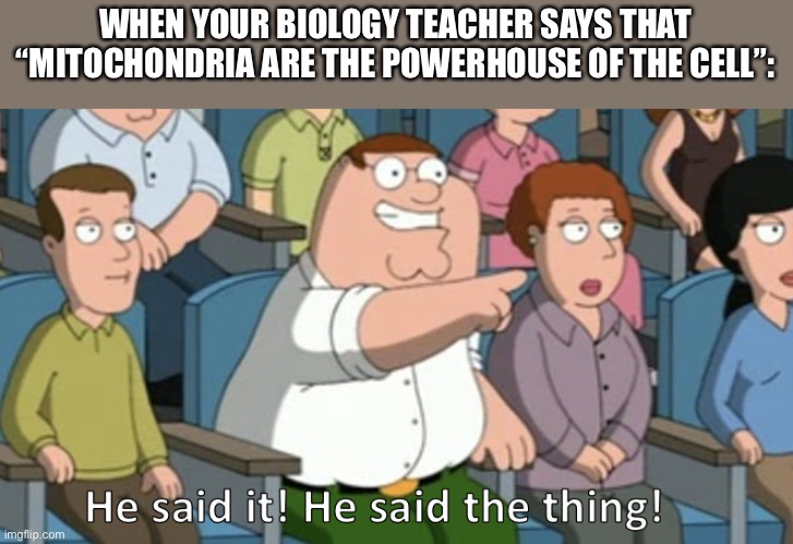 Happened today | WHEN YOUR BIOLOGY TEACHER SAYS THAT “MITOCHONDRIA ARE THE POWERHOUSE OF THE CELL”: | image tagged in he said the thing | made w/ Imgflip meme maker