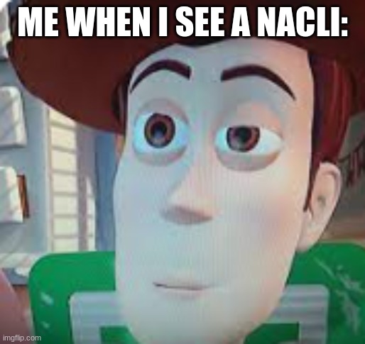 ... | ME WHEN I SEE A NACLI: | image tagged in blank | made w/ Imgflip meme maker