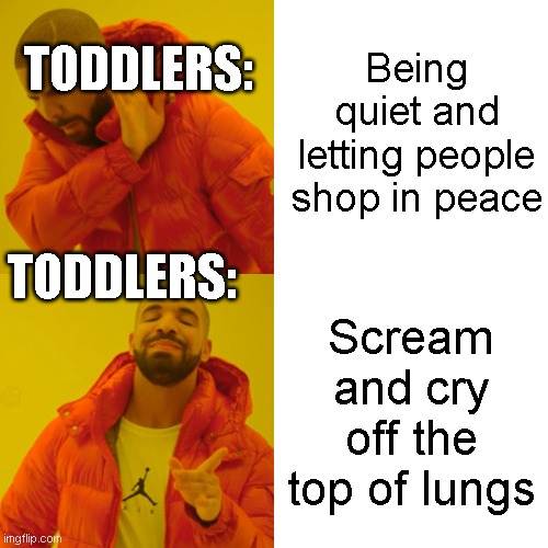 RIP eardrums | Being quiet and letting people shop in peace; TODDLERS:; TODDLERS:; Scream and cry off the top of lungs | image tagged in memes,drake hotline bling,relatable | made w/ Imgflip meme maker