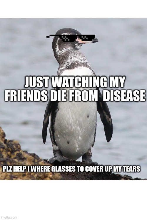 sad | JUST WATCHING MY FRIENDS DIE FROM  DISEASE; PLZ HELP I WHERE GLASSES TO COVER UP MY TEARS | image tagged in memes,funny memes,sad,sad but true,endangerd,so true memes | made w/ Imgflip meme maker
