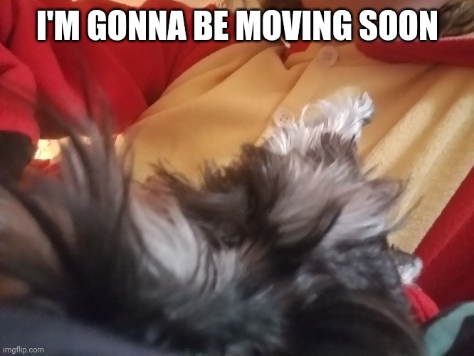 I'M GONNA BE MOVING SOON | made w/ Imgflip meme maker